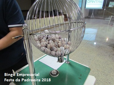 mini BingoEmpresarial