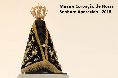 mini corocacaoNSA 1010