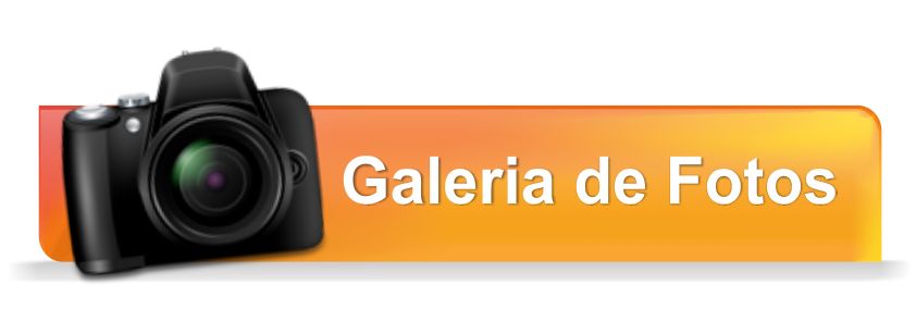 galeria fotos