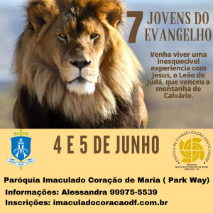 Curso Sete Jovens do Evangelho