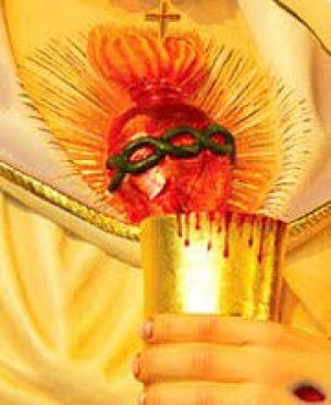 Devoção da Igreja - Julho